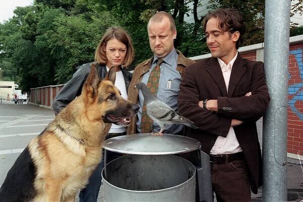Komisař Rex - Poštovní holubi - Z filmu - pes Rhett Butler, Elke Winkens, Martin Weinek, Alexander Pschill