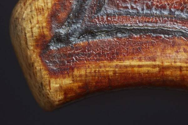 The Carlo Bergonzi Violins
