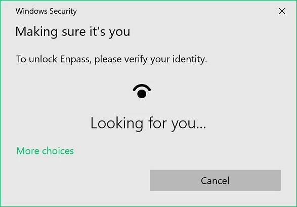 File:Windows Hello in Enpass.png - Wikimedia Commons