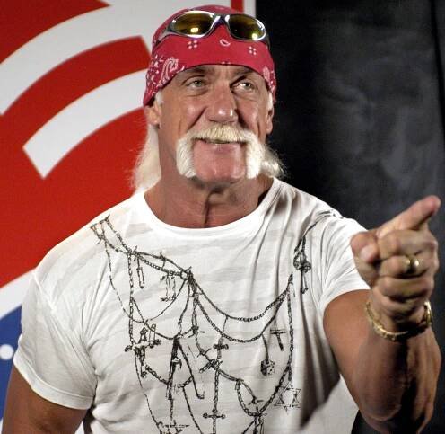 Soubor:Hulk Hogan.jpg – Wikipedie