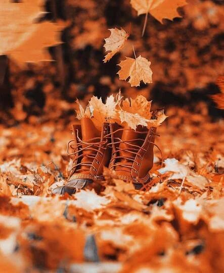 Enjoy the Soft Kiss of Nature in Autumn