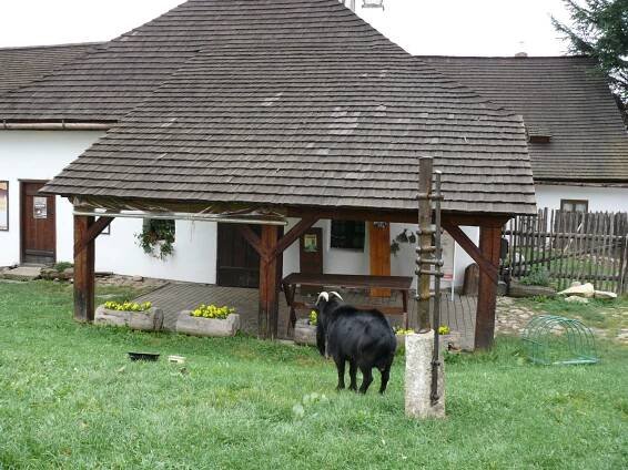 V novohradské barokní kovárně se řemeslo provozovalo... | Regiony