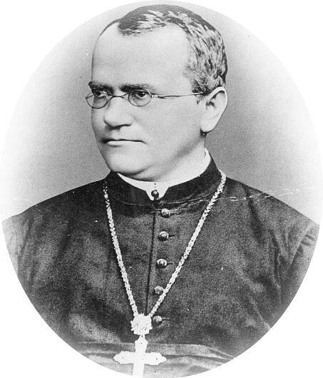 Gregor Johann Mendel | enciclopedia.cat