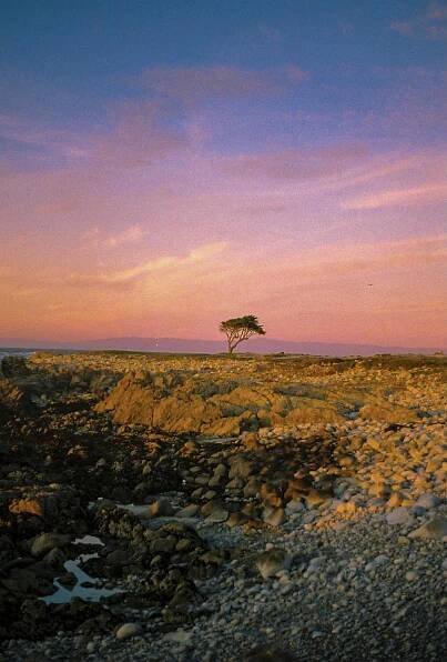 Rachel Turner | LIFE FRAMER