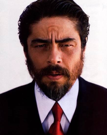 Benicio Del Toro
