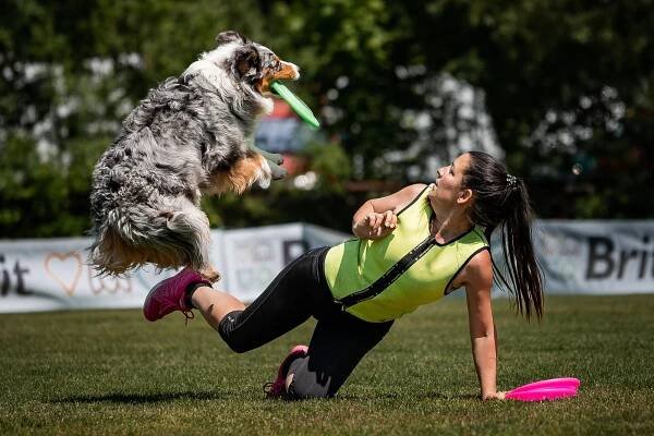 V Tovačově se chystá mezinárodní psí svátek v dogfrisbee