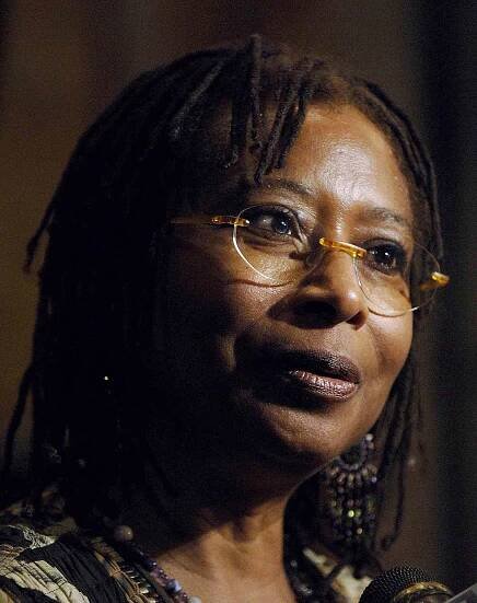 Scrapbook of Styles: Sentence Variety in Alice Walker's 'Am I Blue?'