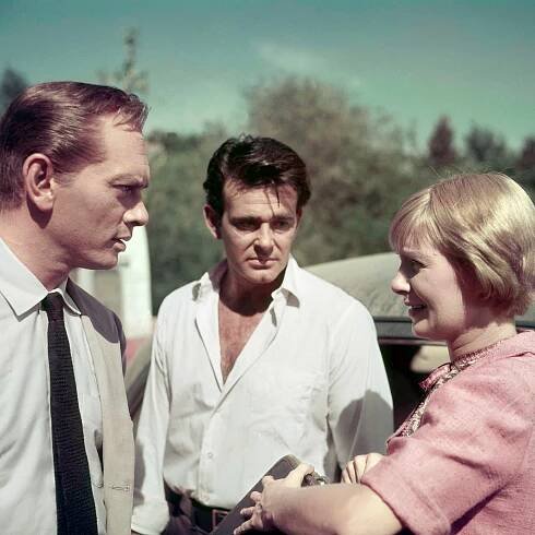 Stuart Whitman, Leading Man on Big and Small Screens, Dies at 92