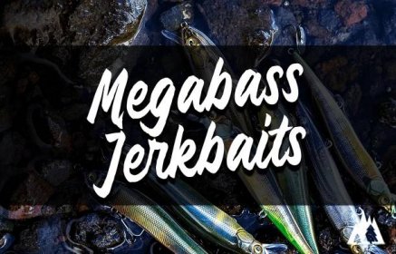 Are Megabass Jerkbaits Worth The Money? - Rep The Wild