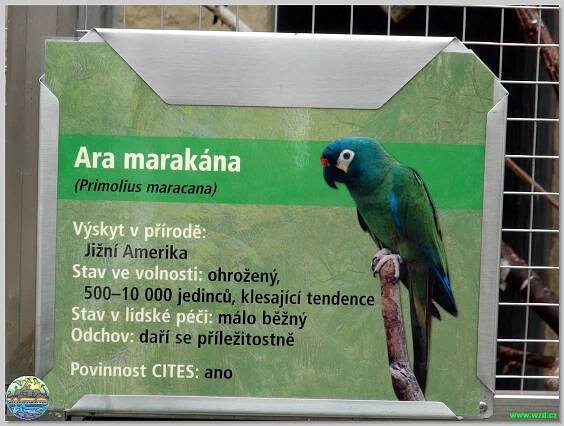 Papouščí zoo Bošovice