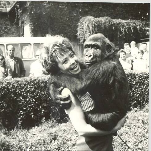 Obrazem: Pražská zoo slaví 85 let. Lachtany jí daroval Burian, první zvířata žila ve vile ředitele