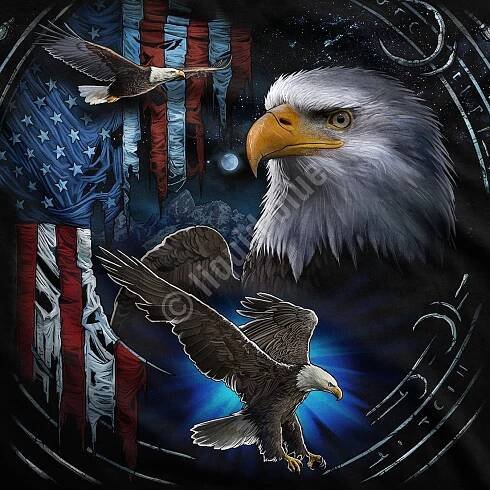 Tribal Eagle - Liquid Blue