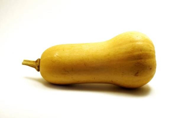 Health benefits of Butternut squash - Health Benefits