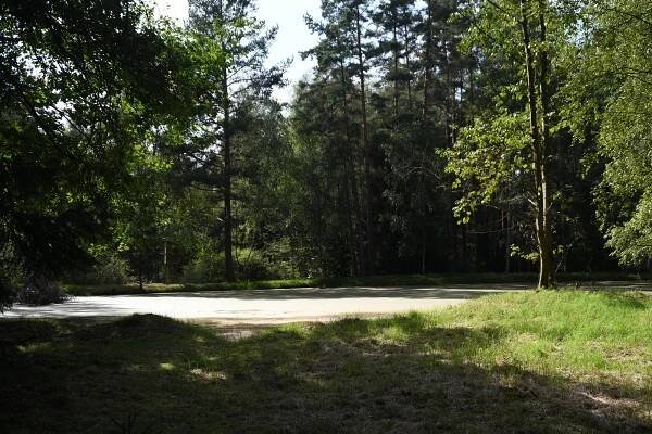 Černoušek, Čerťák a spol. Procházka kolem rybníků u Valchy potěší duši turisty
