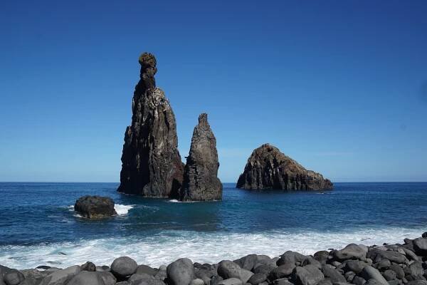 MADEIRA a holiday island for plant lovers – paulpictonswebpatch