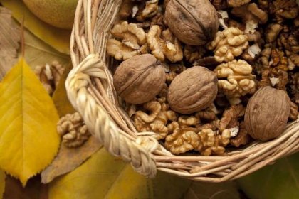 Jak správně připravovat semínka a ořechy