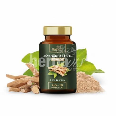 Ašvaganda FORTE KSM-66® - Extrakt z Kořene 5% | Herbavis