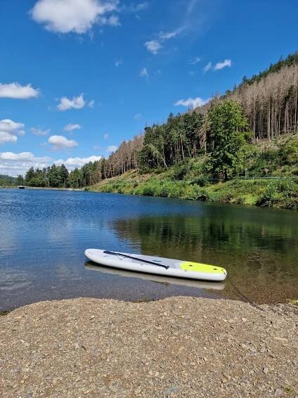 Dogfriendly hotel v Dolním Sasku s polopenzí, wellness i balíčkem pro psy