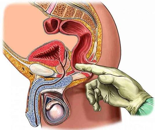 Příčiny častého močení u mužů, léčba patologie / Urologie | Užitečné informace a tipy na péči o sebe. Zdraví, výživa a další