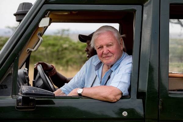 When is David Attenborough: A Life On Our Planet on Netflix? - Discover Wildlife