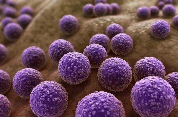 Mikrobiální „temná hmota“ ukrývala velmi účinné antibiotikum | 100+1 zahraniční zajímavost