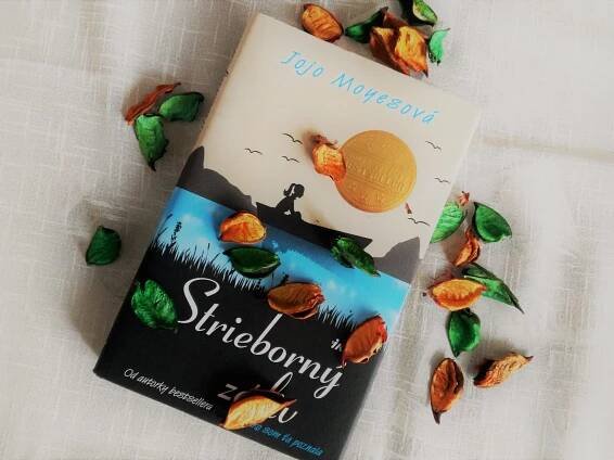 Strieborný záliv (Jojo Moyesová) - recenzia na knihu