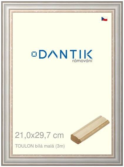 DANTIK rámeček na obraz 21x29,7