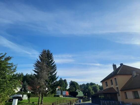 Olešná