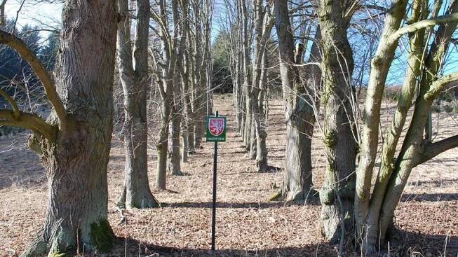 Záhada ornamentálních alejí zůstává nevyluštěna - Novinky