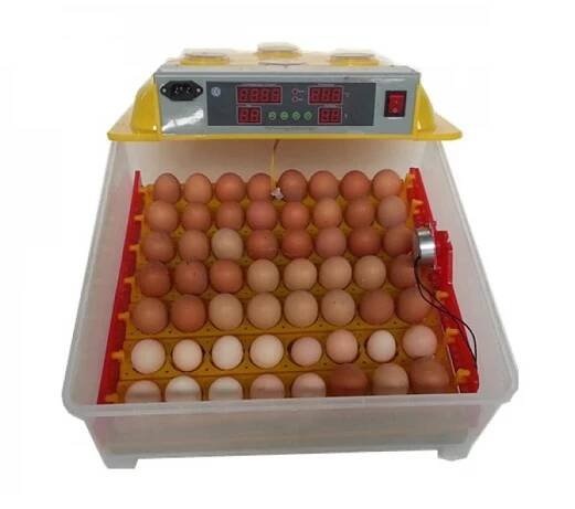Automatická digitální líheň WQ-56. Pro 56 vajec. | AGROFORTEL.CZ