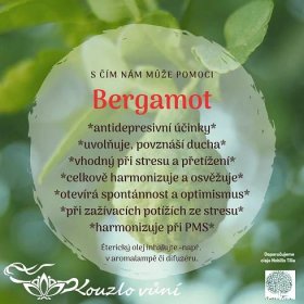 Bergamot harmonizuje, osvěží a odnese starosti -