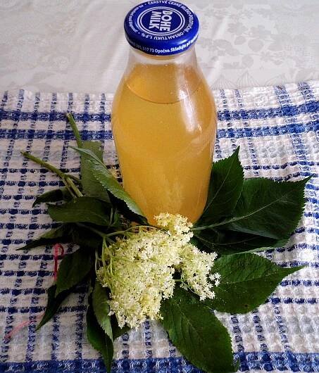 Recept: Sirup proti nachlazení z černého bezu