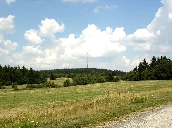 Javořice