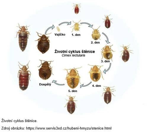 SZÚ - S koncem léta a návraty z dovolených přibývá dotazů na hubení štěnic. Jak zabránit šíření parazitů a zamoření domácností? 1