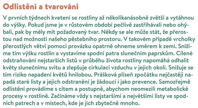 Péče o rostliny od prvních květů do sklizně – Magazín Konopí