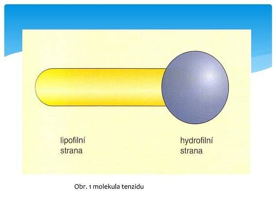 PPT - Š AMPONY PowerPoint Presentation, free download - ID:4944690