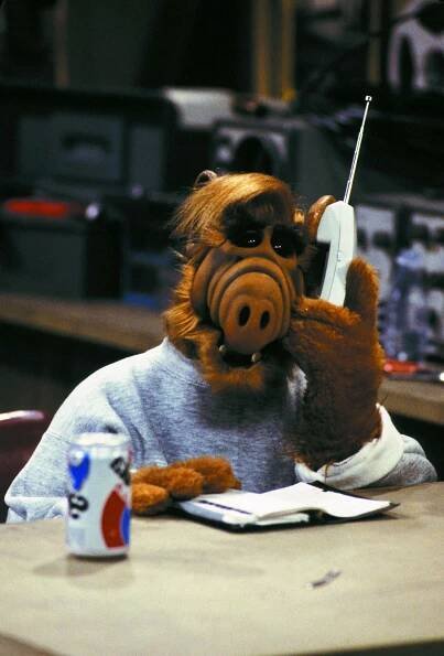 Alf - Kandidáti (S02E11) (1987)
