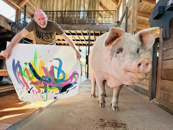 Pigcasso | Gallery