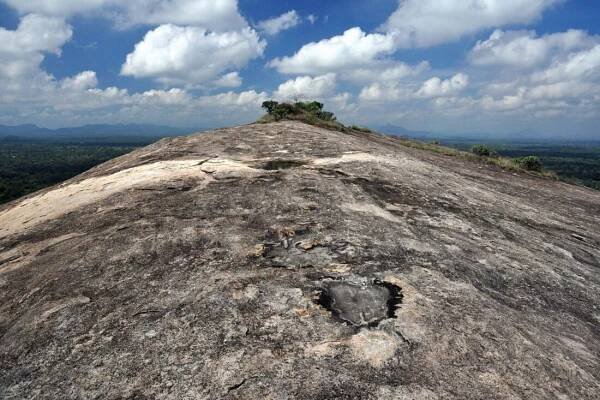 Pidurangala Rock
