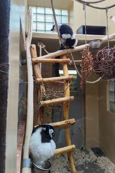 Výlet k MDD - ZOO Olomouc | ZŠ a MŠ Předklášteří
