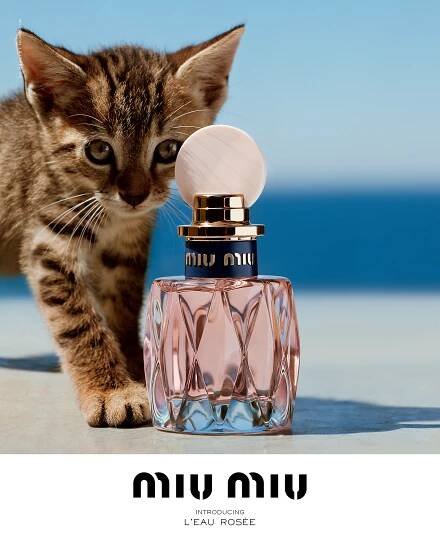 GB65 | Miu Miu: L’Eau Rosée