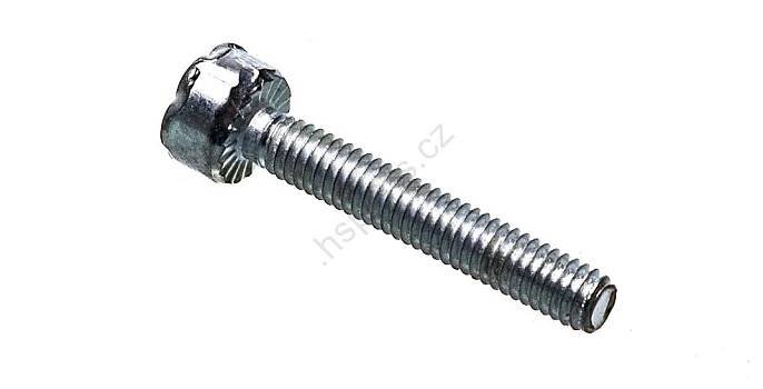 Šroub Stihl IS-M4 x 25 (OEM 90223130740) | HS Parts 