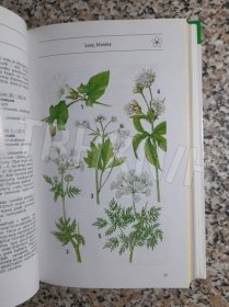 Kniha Co tu kvete? - kvetoucí rostliny střední Evropy ve volné přírodě - Trh knih - online antikvariát