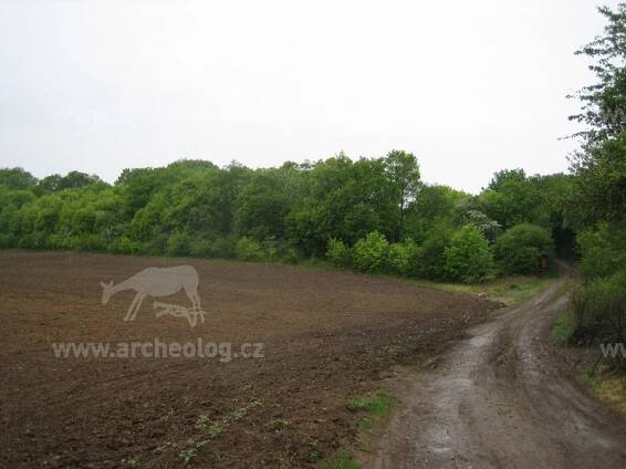 Stradonice, oppidum Hradiště - archeolog.cz