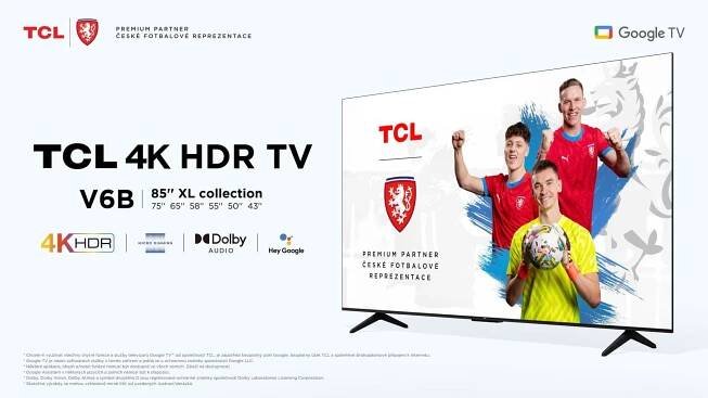 Televize TCL 50P655 | DATART