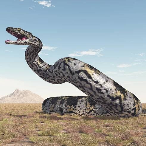 Paleontologists Discover 'Exceptionally Large' Fossil Snake