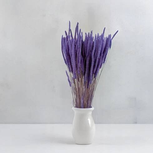 Sušená tráva – Tymotka (Phleum) – Levandulová Kód výrobce TYMOTKA LAVENDER IT