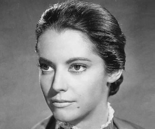 Susan Kohner Biography - Facts, Childhood, Family Life, Achievements