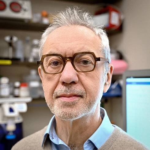 Vittorio Sartorelli, M.D., Laboratory of Muscle Stem Cells and Gene Regulation, NIAMS