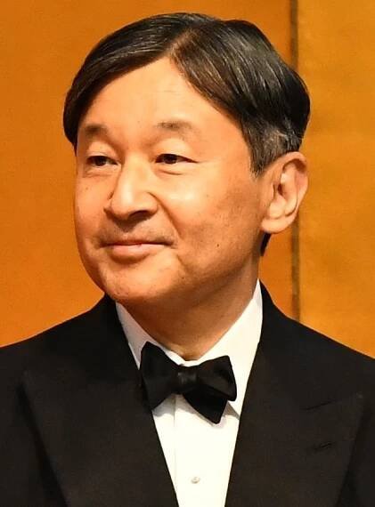 Soubor:Emperor Naruhito at TICAD7 (cropped).jpg – Wikipedie